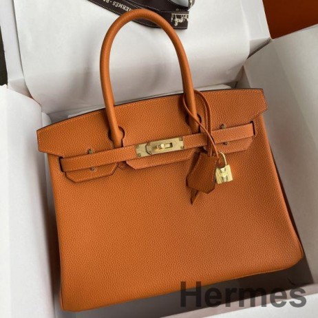 Hermes Birkin 25 Handmade Bag In Orange Clemence Leather