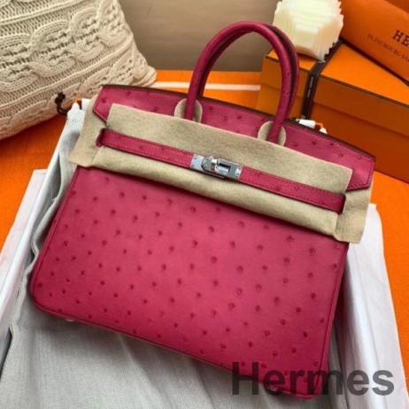 Hermes Birkin 25 Handmade Bag In Rose Red Ostrich Leather