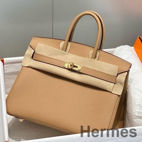 Hermes Birkin 25cm Bag In Chai Clemence Leather GHW