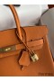 Hermes Birkin 25 Handmade Bag In Orange Clemence Leather