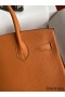 Hermes Birkin 25 Handmade Bag In Orange Clemence Leather
