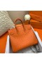 Hermes Birkin 25 Handmade Bag In Orange Ostrich Leather