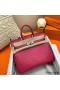 Hermes Birkin 25 Handmade Bag In Rose Red Ostrich Leather
