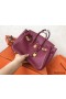 Hermes Birkin 25 Handmade Bag In Ruby Clemence Leather