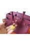 Hermes Birkin 25 Handmade Bag In Ruby Clemence Leather