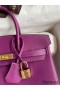 Hermes Birkin 25 Retourne Handmade Bag In Anemone Swift Calfskin