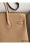 Hermes Birkin 25 Retourne Handmade Bag In Beige Lizard Leather