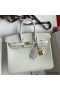 Hermes Birkin 25 Retourne Handmade Bag In Beton Swift Calfskin