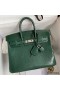 Hermes Birkin 25 Retourne Handmade Bag In Malachite Lizard Leather
