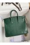 Hermes Birkin 25 Retourne Handmade Bag In Malachite Lizard Leather