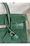 Hermes Birkin 25 Retourne Handmade Bag In Malachite Lizard Leather