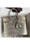 Hermes Birkin 25 Retourne Handmade Bag In Ombre Lizard Leather