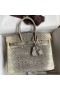 Hermes Birkin 25 Retourne Handmade Bag In Ombre Lizard Leather