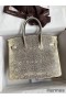 Hermes Birkin 25 Retourne Handmade Bag In Ombre Lizard Leather