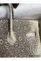 Hermes Birkin 25 Retourne Handmade Bag In Ombre Lizard Leather