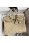 Hermes Birkin 25 Retourne Handmade Bag In Parchemin Ostrich Leather