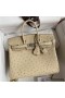 Hermes Birkin 25 Retourne Handmade Bag In Parchemin Ostrich Leather