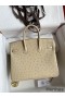 Hermes Birkin 25 Retourne Handmade Bag In Parchemin Ostrich Leather
