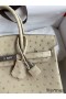 Hermes Birkin 25 Retourne Handmade Bag In Parchemin Ostrich Leather