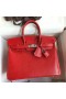 Hermes Birkin 25 Retourne Handmade Bag In Red Lizard Leather