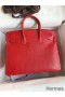 Hermes Birkin 25 Retourne Handmade Bag In Red Lizard Leather