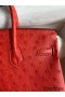 Hermes Birkin 25 Retourne Handmade Bag In Red Ostrich Leather