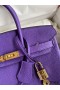 Hermes Birkin 25 Retourne Handmade Bag In Violet Clemence Leather