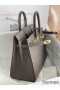 Hermes Birkin 25 Sellier Handmade Bag In Etain Epsom Calfskin
