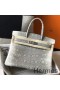 Hermes Birkin 25cm Bag In Ombre Embossed Natural Lizard