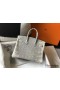Hermes Birkin 25cm Bag In Ombre Embossed Natural Lizard