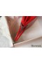 Hermes Birkin 25cm Bag In Red Embossed Crocodile Leather