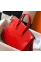 Hermes Birkin 25cm Bag In Red Embossed Crocodile Leather
