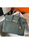 Hermes Birkin 25cm Bag In Vert Amande Clemence Leather GHW