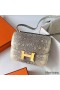 Hermes Constance 18 Handmade Bag In Natural Lizard Skin