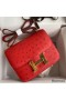 Hermes Constance 18 Handmade Bag In Red Ostrich Leather