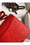 Hermes Constance 18 Handmade Bag In Red Ostrich Leather