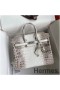 Hermes Diamond Birkin 25cm In Himalaya Niloticus Crocodile Skin