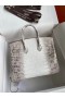 Hermes Diamond Birkin 25cm In Himalaya Niloticus Crocodile Skin