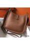 Hermes Evelyne III 29 PM Bag In Gold Clemence Leather