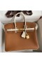Hermes HSS Birkin 25 Bicolor Bag in Gold and Craie Clemence Leather