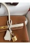 Hermes HSS Birkin 25 Bicolor Bag in Gold and Craie Clemence Leather