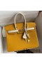 Hermes HSS Birkin 25 Bicolor Bag in Jaune d'or and Craie Epsom Calfskin