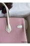 Hermes HSS Birkin 25 Bicolor Bag in Pink and Craie Chevre Mysore Leather