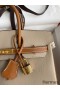 Hermes HSS Birkin 25 Bicolor Bag in Trench and Gold Epsom Calfskin