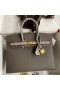 Hermes HSS Birkin 25 Sellier Bag in Etain and Gris Mouette Epsom Calfskin