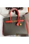 Hermes HSS Birkin 30 Bicolor Bag in Etain and Piment Epsom Calfskin