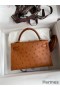Hermes Kelly Mini II Sellier Handmade Bag In Gold Ostrich Leather