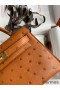Hermes Kelly Mini II Sellier Handmade Bag In Gold Ostrich Leather