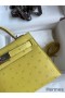 Hermes Kelly Mini II Sellier Handmade Bag In Lime Ostrich Leather