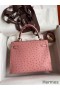 Hermes Kelly Sellier 25 Handmade Bag In Terre Cuite Ostrich Leather
